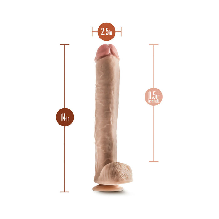 Blush Hung Rider Bruno Realistic 14 in. Dildo with Balls & Suction Cup Beige