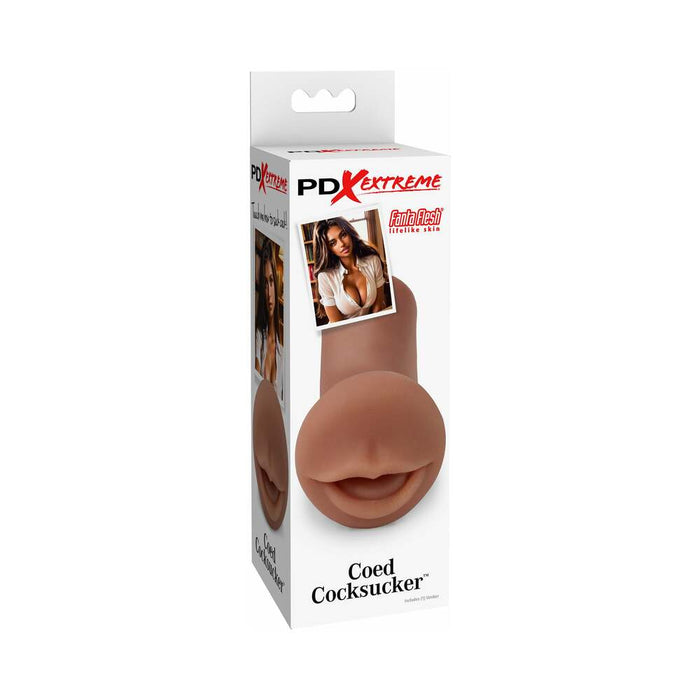 PDX Extreme Coed Cocksucker Brown